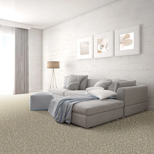 PETPremier using Mohawk Continuum, the ultimate innovation in PET carpet