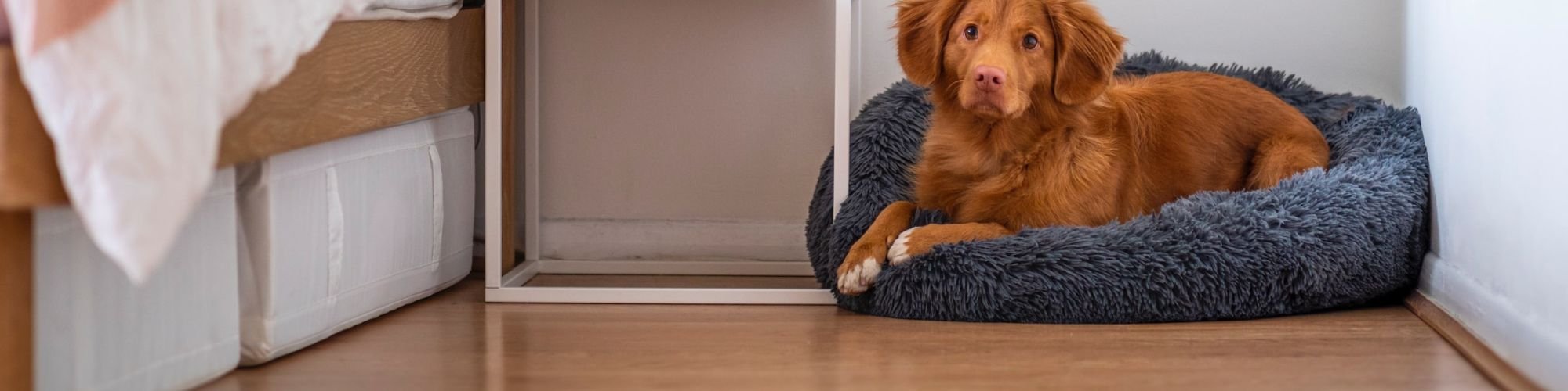 Choose from a wide variety of laminate styles from Reardon's Flooring